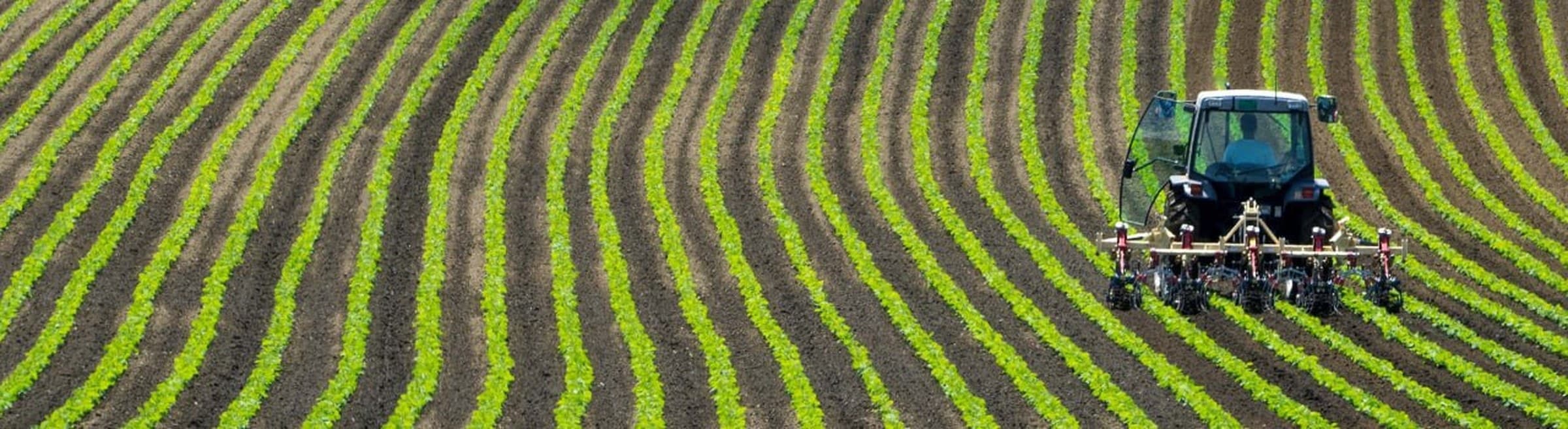 Agriculture